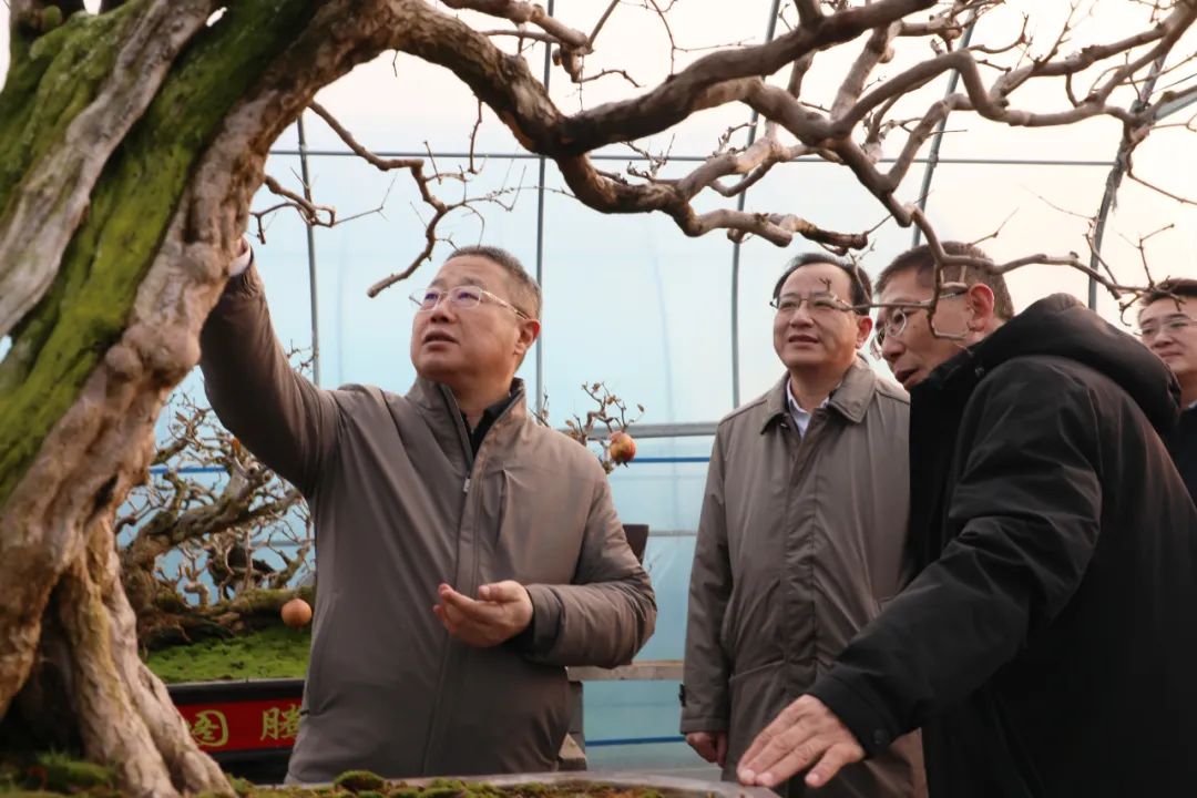 ���f��ί����ӛ������ί��ӛ�����ށ�F�ǅ^(q��)�{(di��o)��ʯ��a(ch��n)�I(y��)�l(f��)չ����