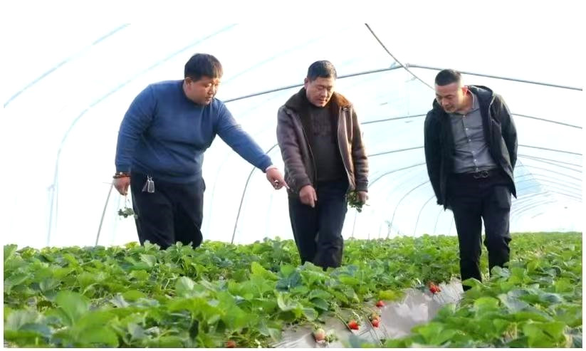 �R�Ⱥ󣺘s�@���r(sh��)����������|(zh��)���l(f��)չʮ��ܳ����^�ˡ��s�u(y��)�Q(ch��ng)̖(h��o)